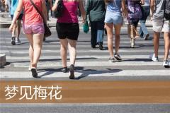 梦见梅花