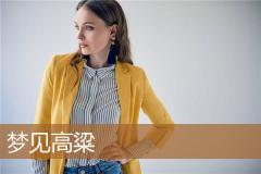 梦见高粱