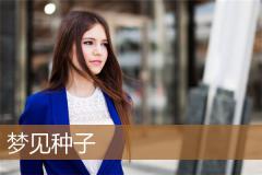 梦见种子