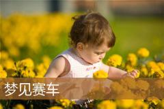 梦见赛车