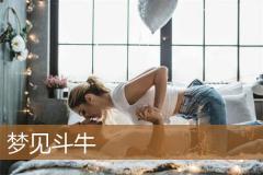 梦见斗牛
