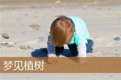 梦见植树