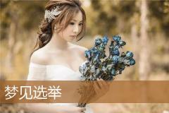 梦见选举