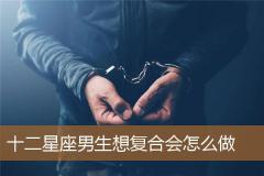 十二星座男生想复合会怎么做