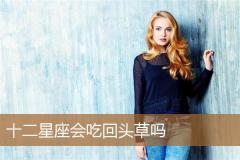 十二星座会吃回头草吗