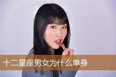 十二星座男女为什么单身