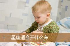 十二星座适合开什么车