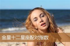 金星十二星座配对指数
