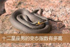 十二星座男的变态指数有多高