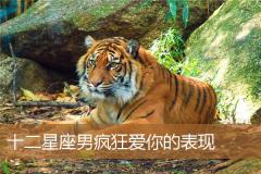 十二星座男疯狂爱你的表现