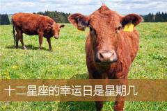 十二星座的幸运日是星期几