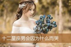 十二星座男会因为什么而哭