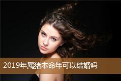 2019年属猪本命年可以结婚吗