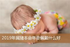2019年属猪本命年要佩戴什么好
