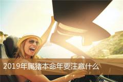 2019年属猪本命年要注意什么