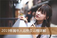 2019年属牛人运势及运程详解