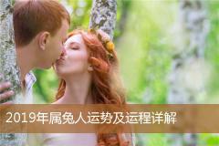 2019年属兔人运势及运程详解