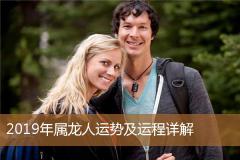 2019年属龙人运势及运程详解