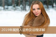 2019年属狗人运势及运程详解