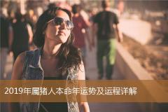 2019年属猪人本命年运势及运程详解