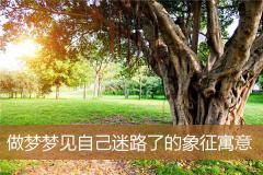 做梦梦见自己迷路了的象征寓意