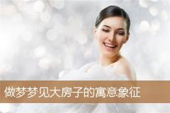 做梦梦见大房子的寓意象征