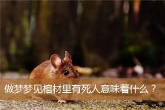 做梦梦见棺材里有死人意味着什么？