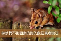 做梦找不到回家的路的象征寓意说法