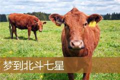 梦到北斗七星