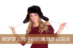 做梦梦见柿子树的寓意象征说法