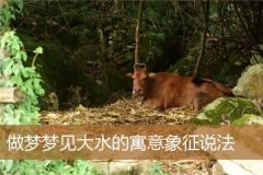 做梦梦见大水的寓意象征说法