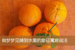 做梦梦见掉到水里的象征寓意说法