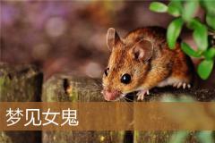 梦见女鬼