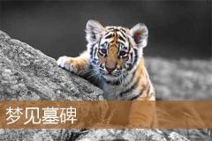 梦见墓碑