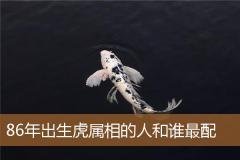86年出生虎属相的人和谁最配