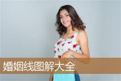婚姻线图解大全