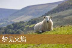 梦见火焰
