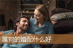 属狗的婚配什么好