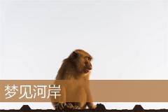 梦见河岸
