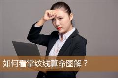 如何看掌纹线算命图解？