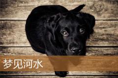 梦见河水