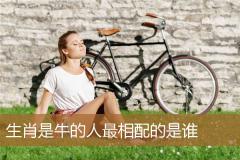 生肖是牛的人最相配的是谁