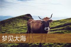 梦见大海