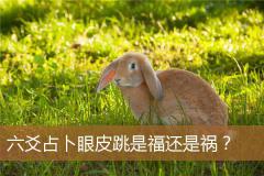 六爻占卜眼皮跳是福还是祸?