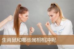 生肖鼠和哪些属相相冲呢