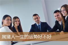 属猪人一生的运势好不好