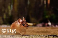 梦见路