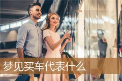 梦见买车代表什么