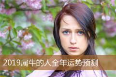 2019属牛的人全年运势预测