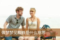 做梦梦见蜘蛛是什么意思